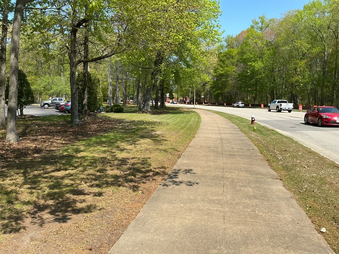 Curved sidewalk through a tree-lined park beside a road with parked cars on a sunny day