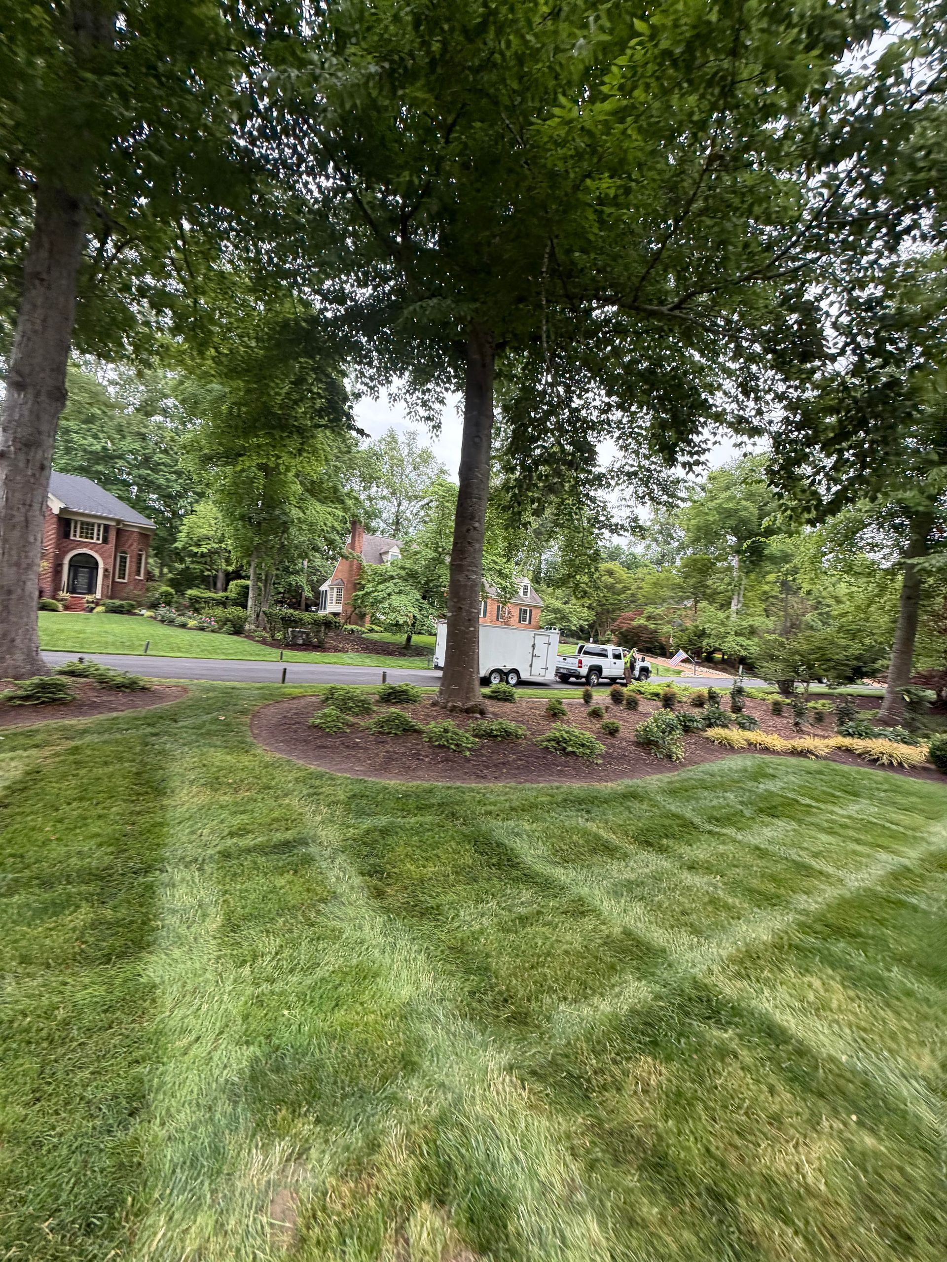 Tree-lined lawn with striped grass and a small brick house in the background
