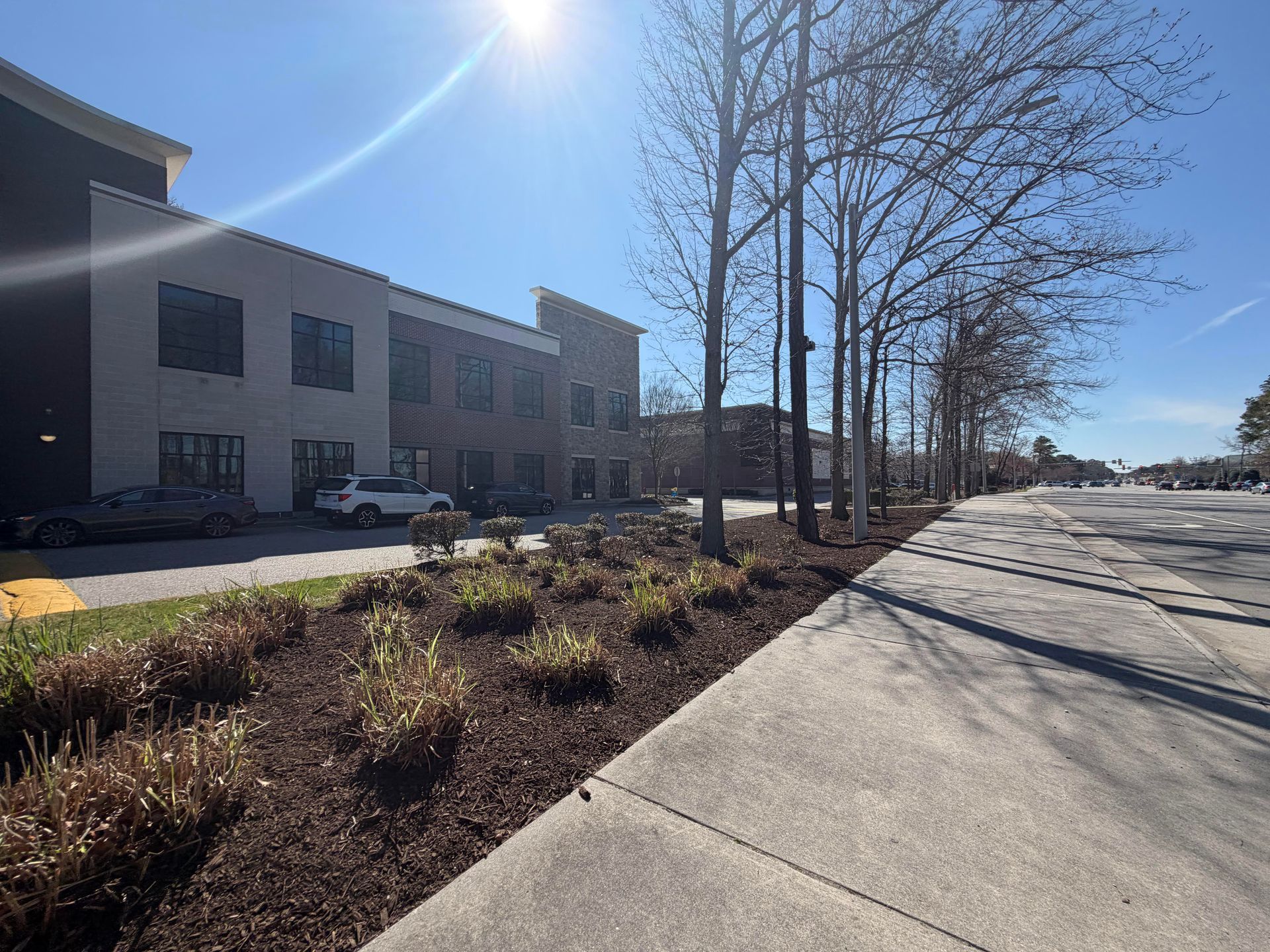 Sunny sidewalk beside a brick office building, with leafless trees and landscaped beds along the street.
