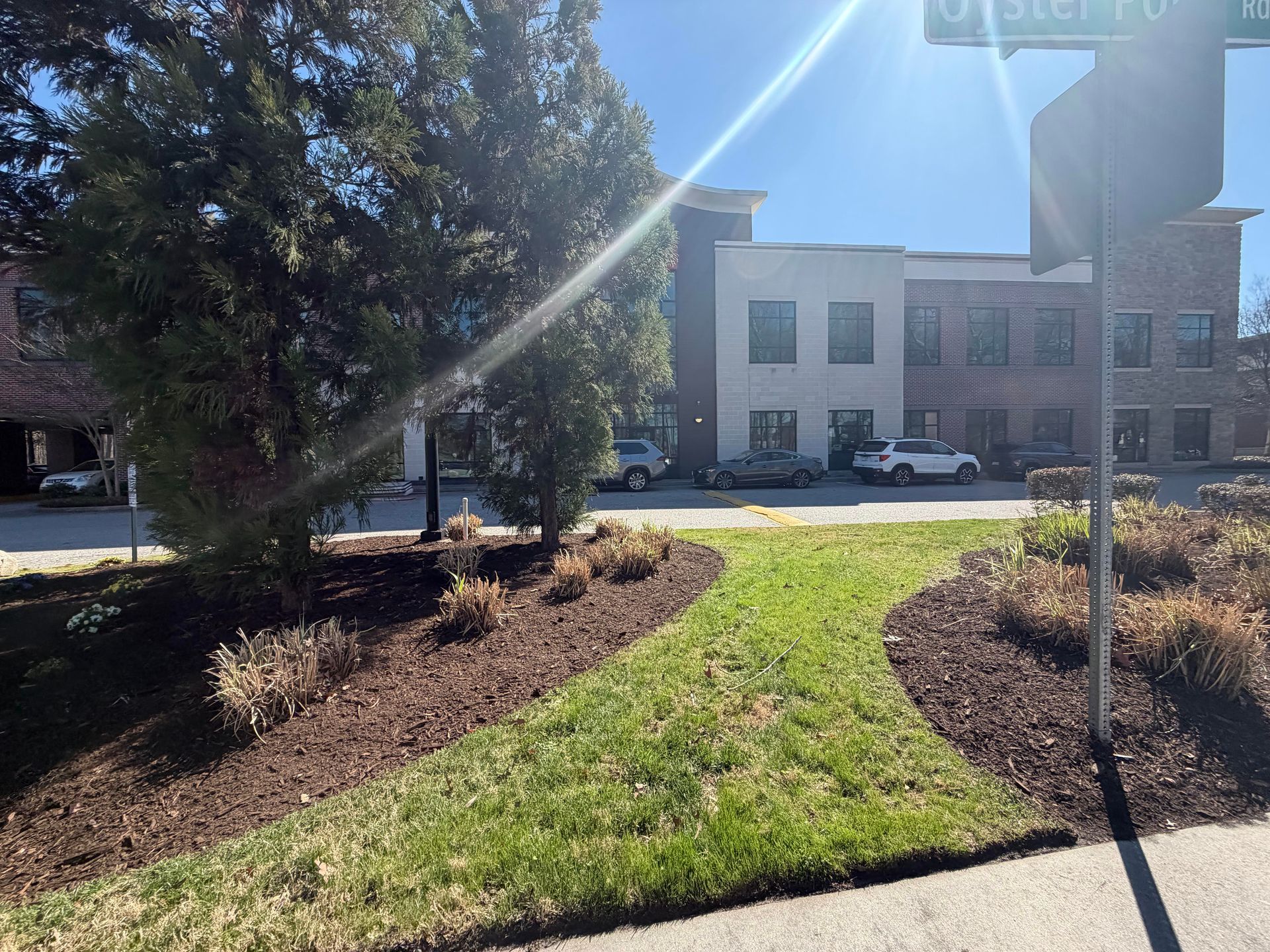 Landscaped walkway with grass, mulch beds, trees, and a building in bright sunlight