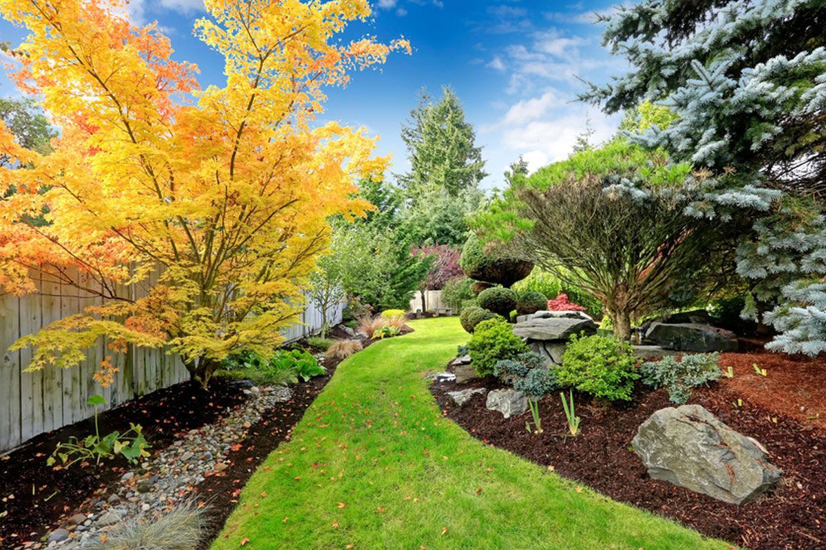 Colorful landscaped garden with a winding green lawn, autumn trees, shrubs, and rocks under a blue sky