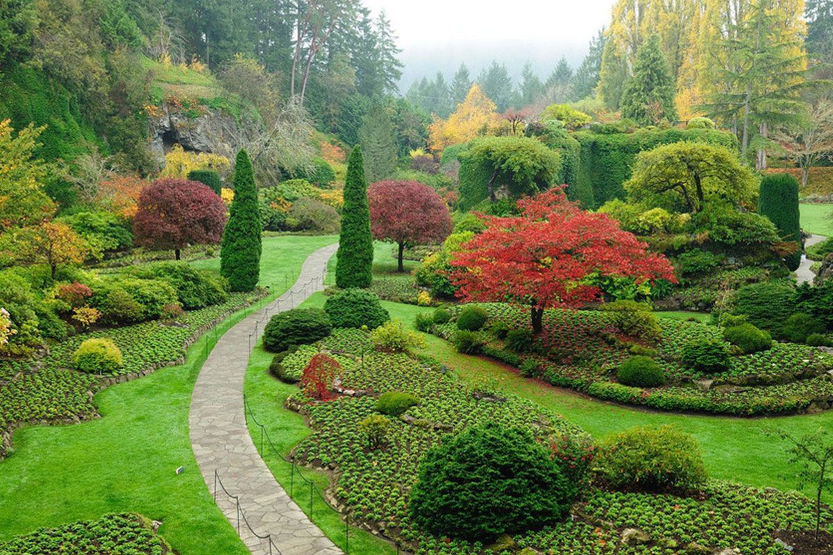 Curving stone path through a lush landscaped garden with red shrubs, green hedges, and tall trees