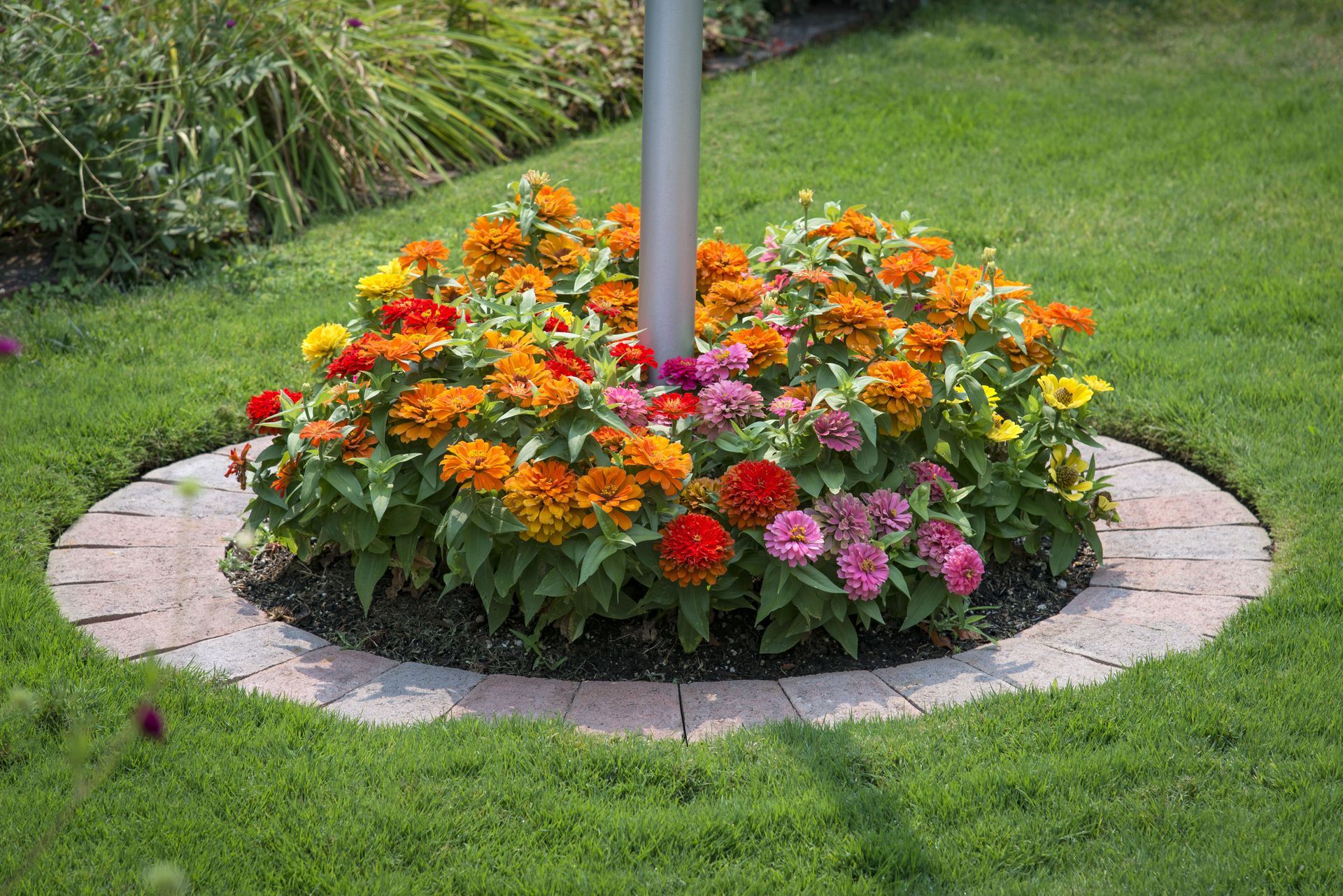 Wooden planter boxes filled with yellow, purple, and red flowers sit in a garden next to plastic crates.