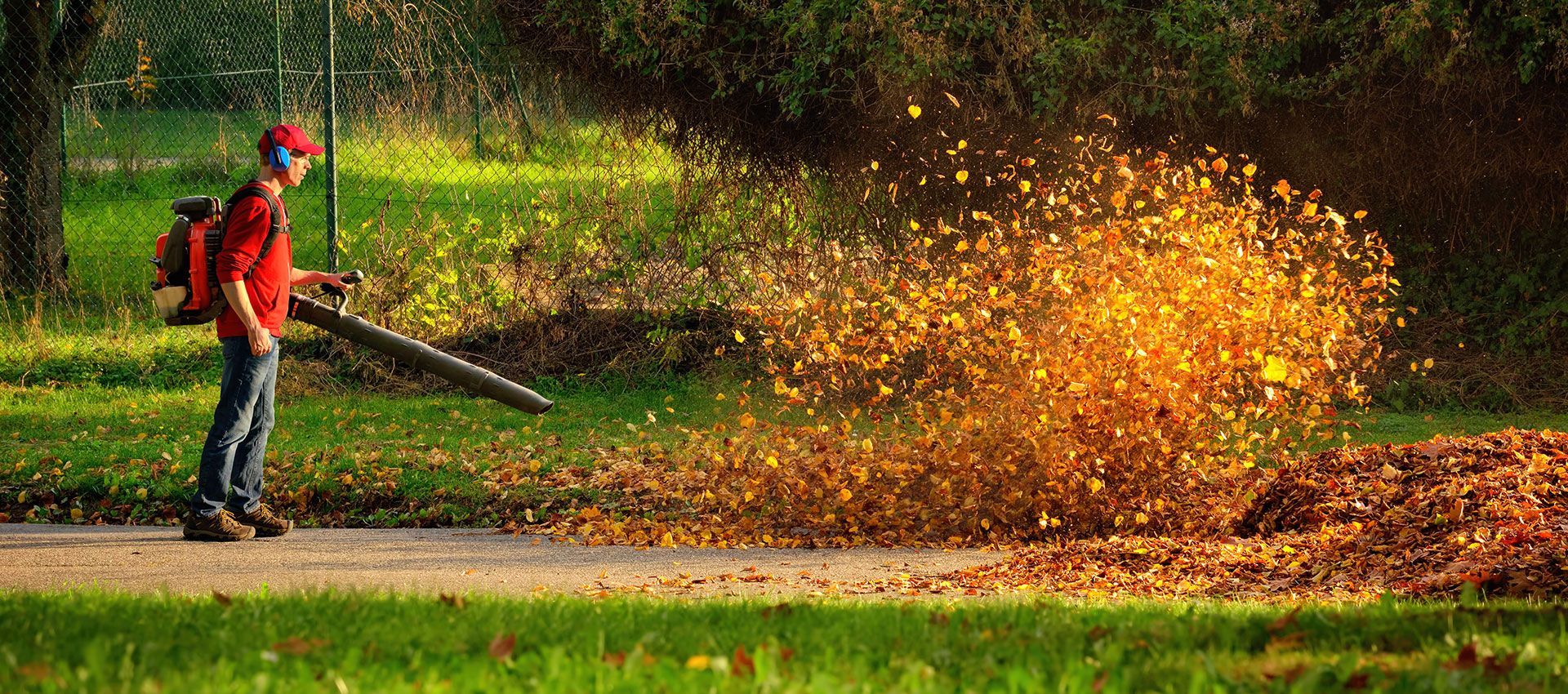 A person in a red shirt uses a leaf blower to clear autumn leaves along a park path.