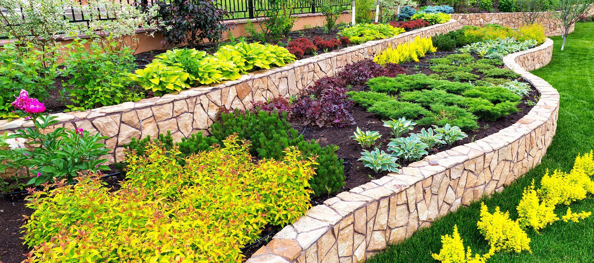 Multi-level garden beds with stone retaining walls, colorful foliage, and a lush green lawn on a sunny day.