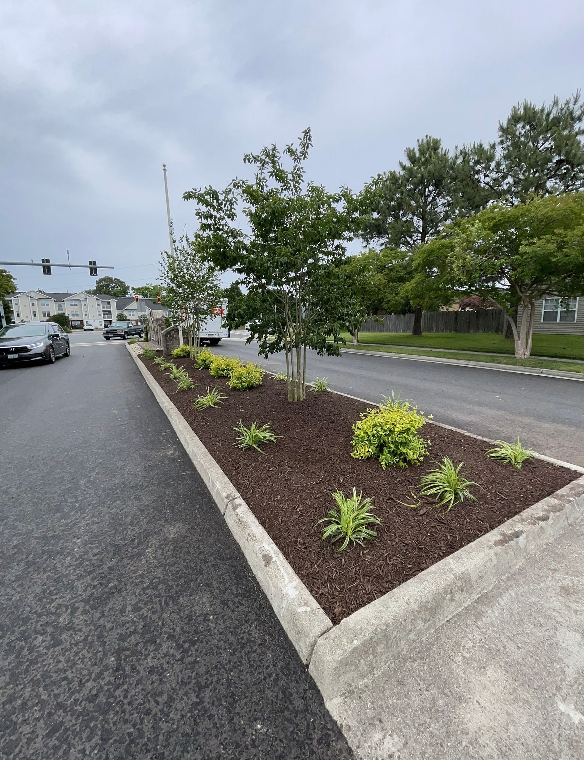 A row of trees and bushes along the side of a road