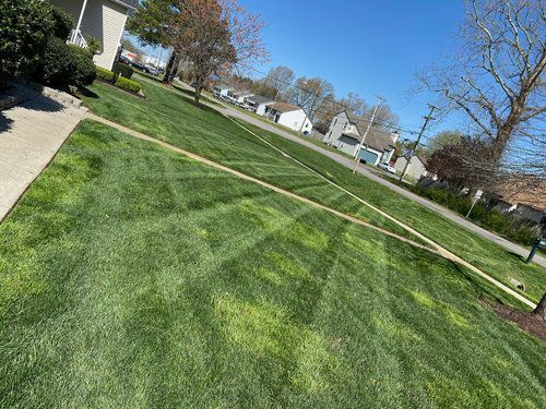A lush green lawn with a sidewalk and a house in the background.