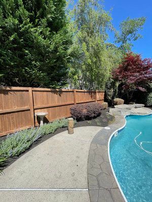 A wooden fence surrounds a swimming pool in a backyard.