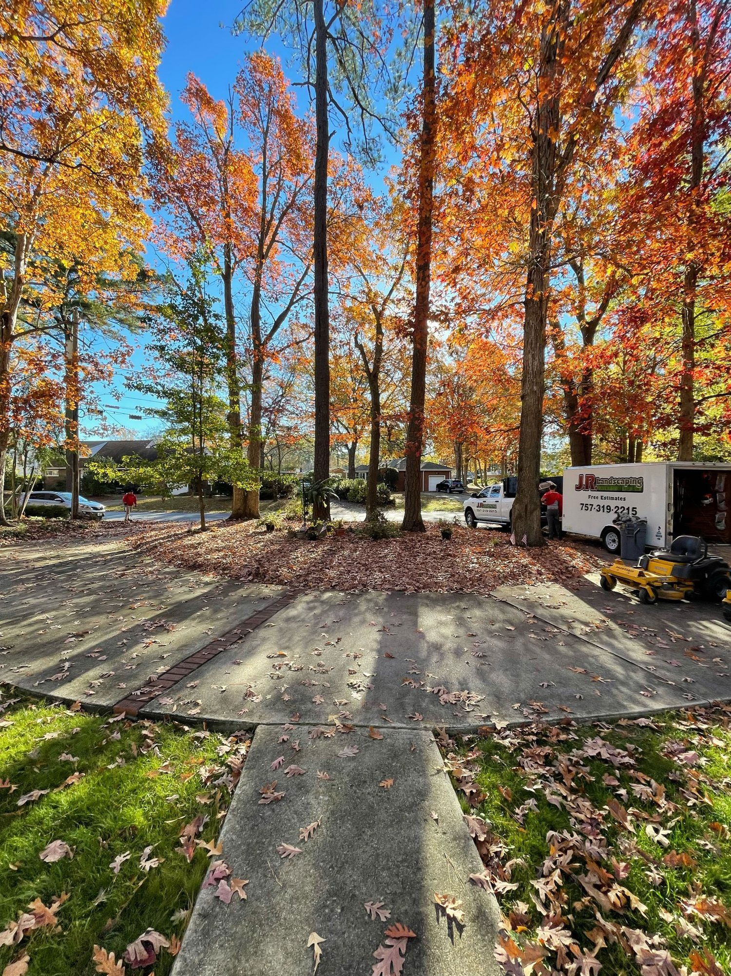 A sidewalk surrounded by trees and leaves on a sunny day