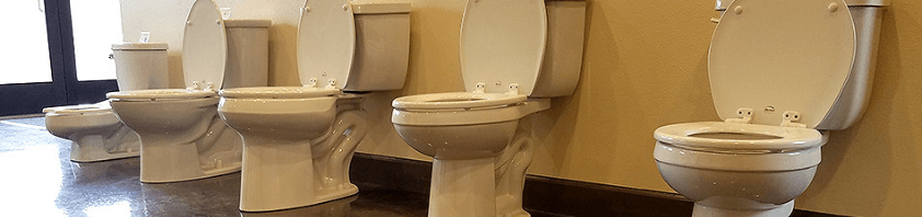 Toilet Selection