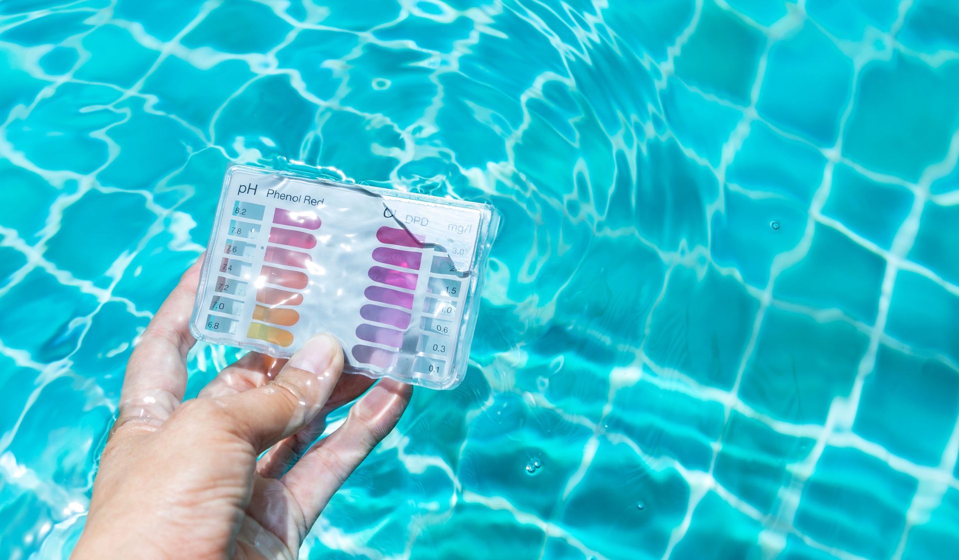 swimming pool service