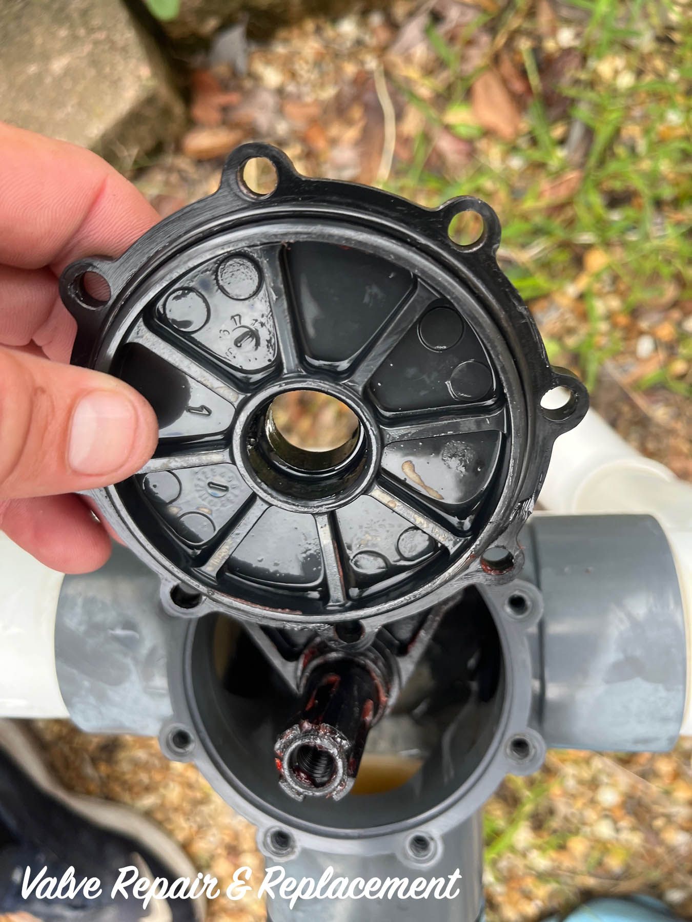 A hand holds the removed circular black lid of a pool plumbing valve, revealing the internal stem and valve body.