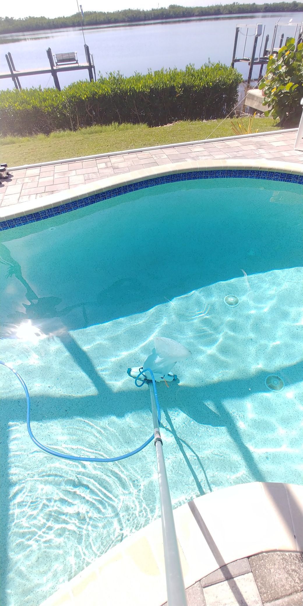 A blue pool cleaning tool submerged in a clear, sunlit backyard pool overlooking a canal.