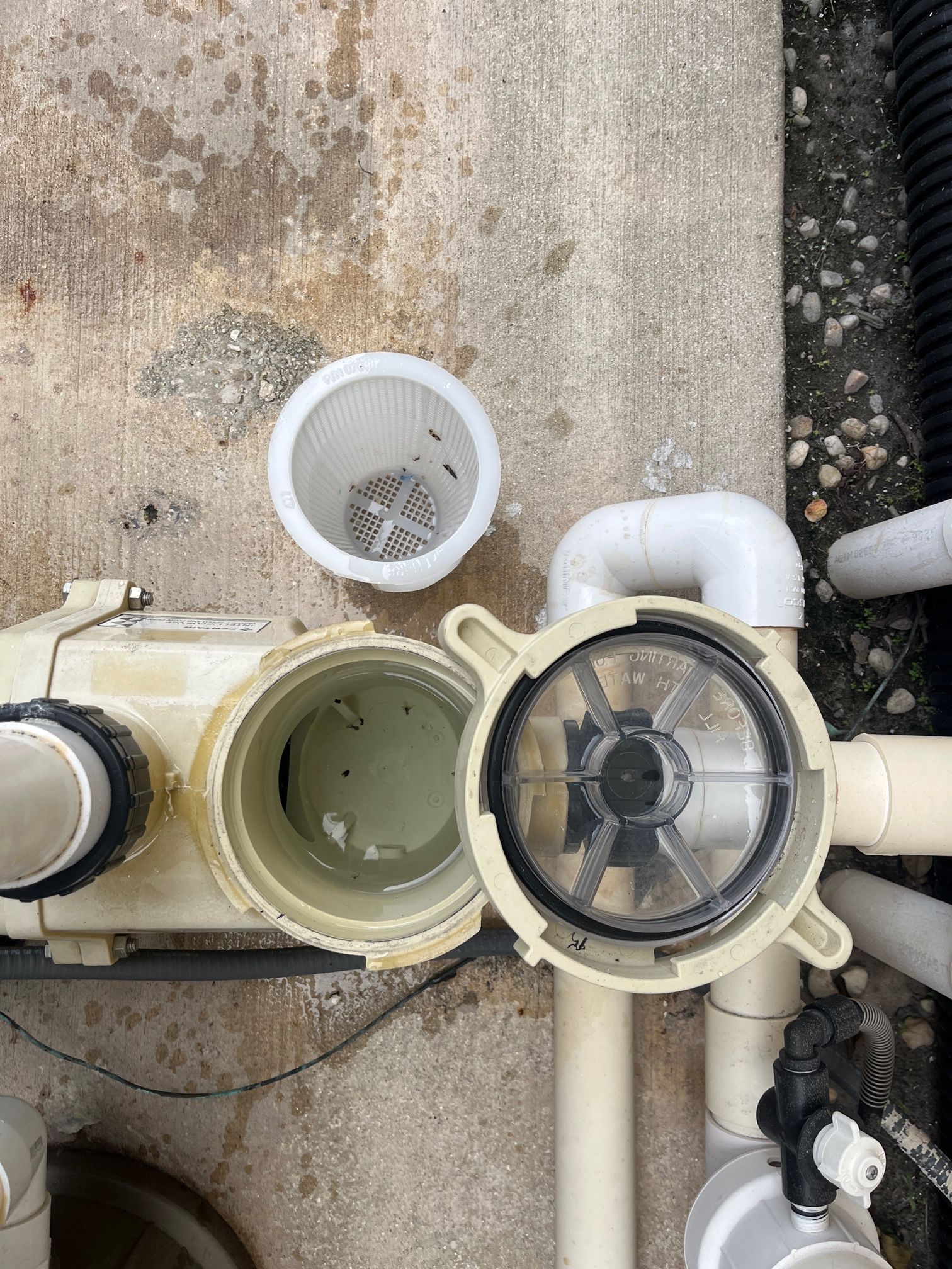An open pool pump filter housing with its basket removed and set aside on a concrete surface.