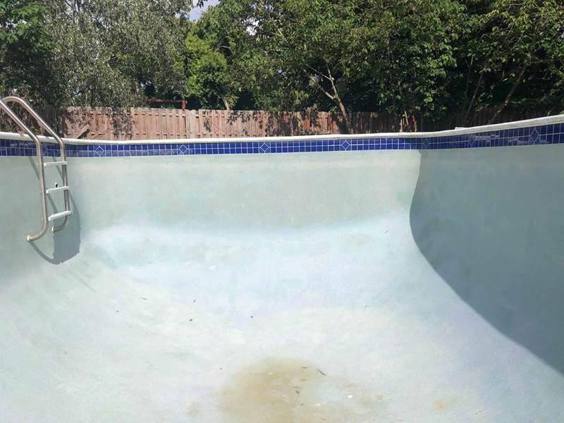 An empty residential swimming pool with a metal ladder and a blue tiled border, surrounded by trees and a fence.