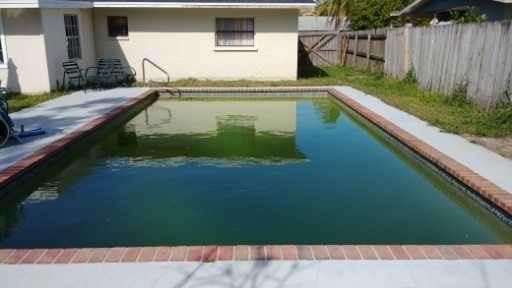A green, algae-filled rectangular swimming pool located in a backyard with a house, patio, and wooden fence.