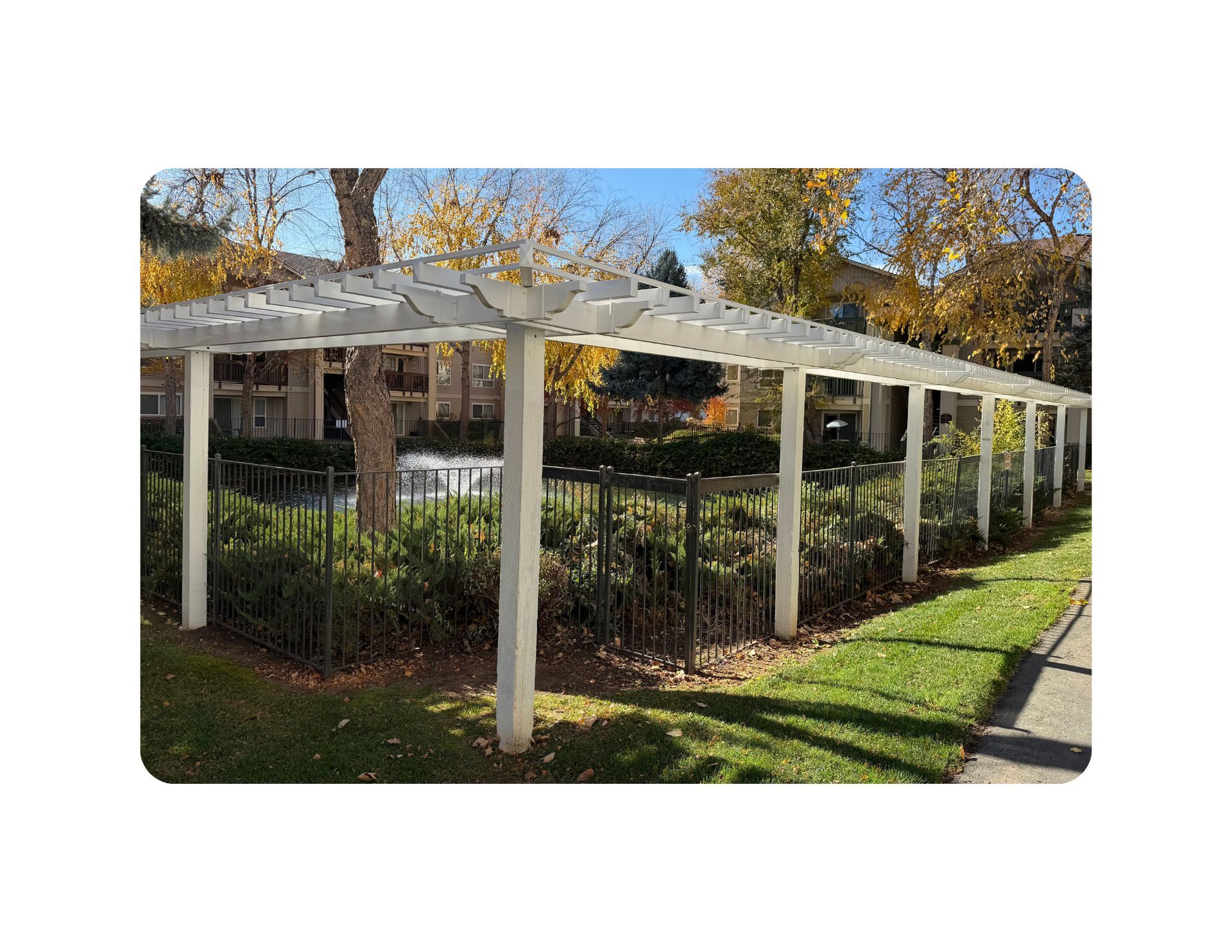 White pergola over a wrought-iron fence and greenery on a sunny day.