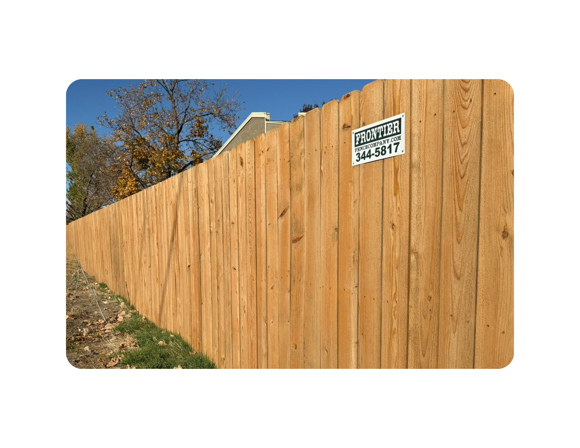 cedar wood fence