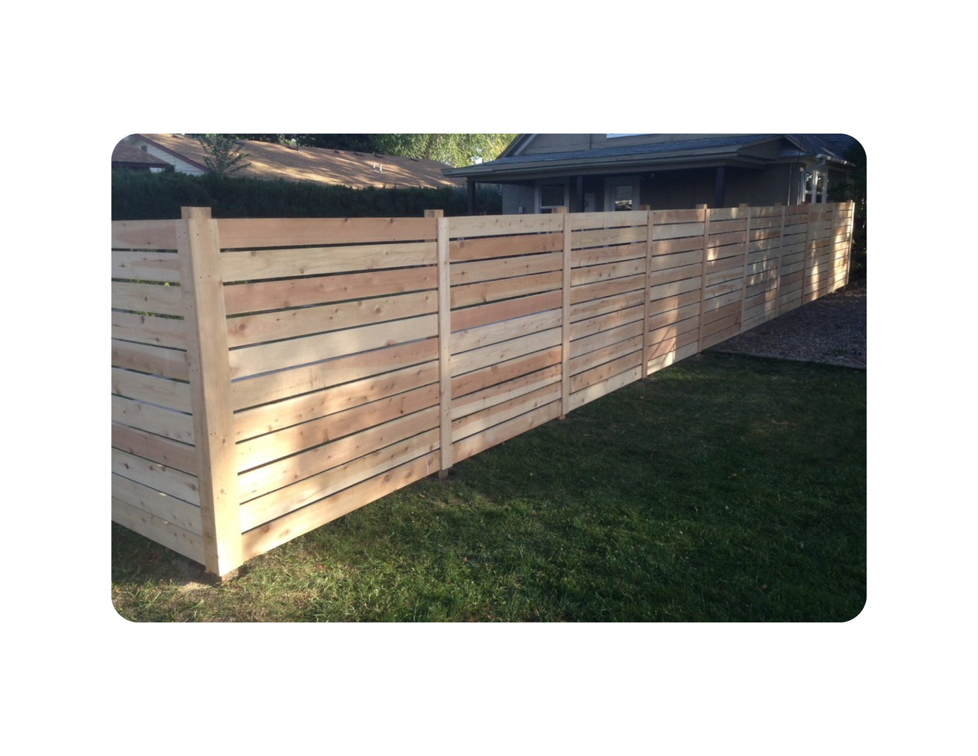 cedar wood fence