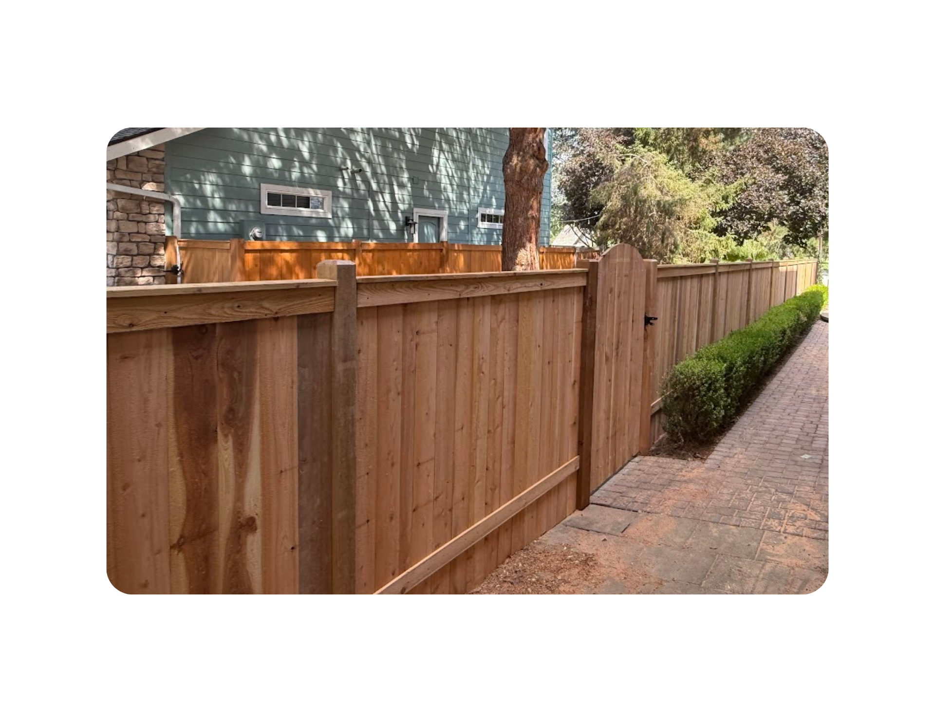 cedar wood fence