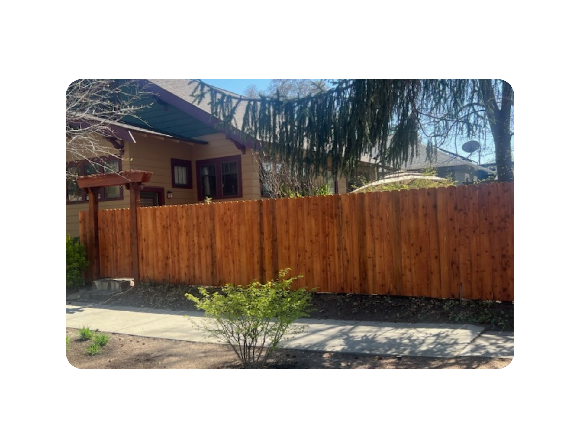 cedar wood fence