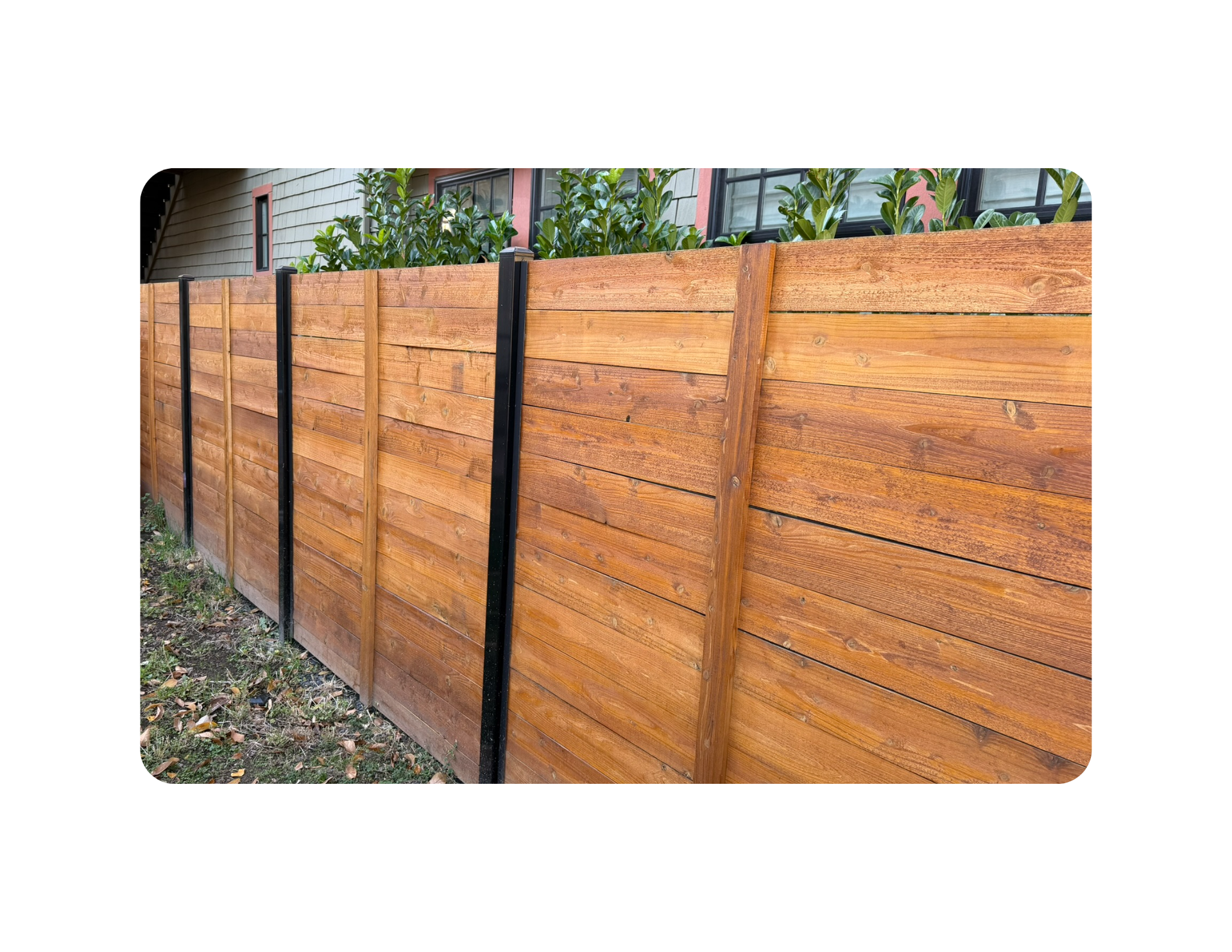 cedar wood fence