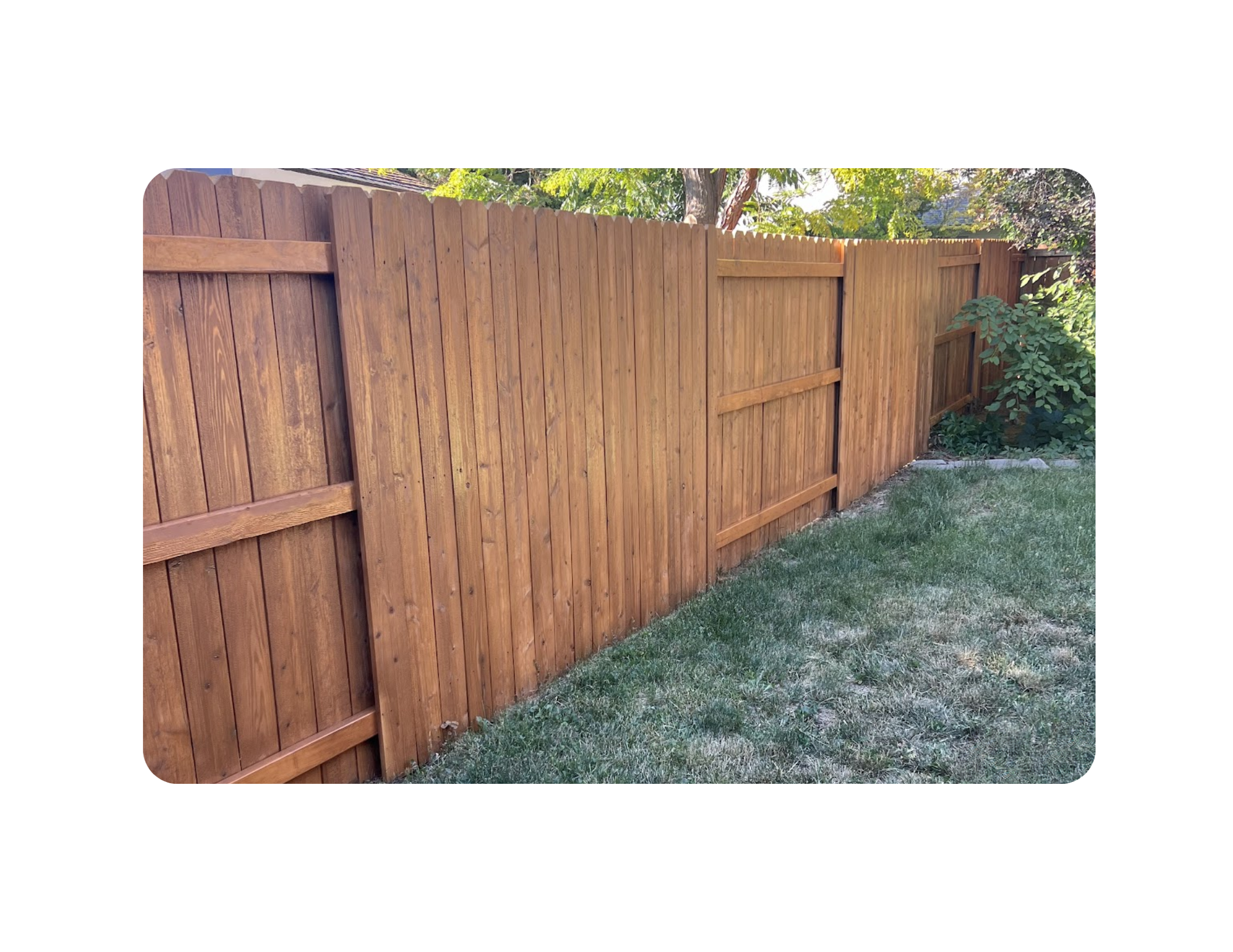 cedar wood fence