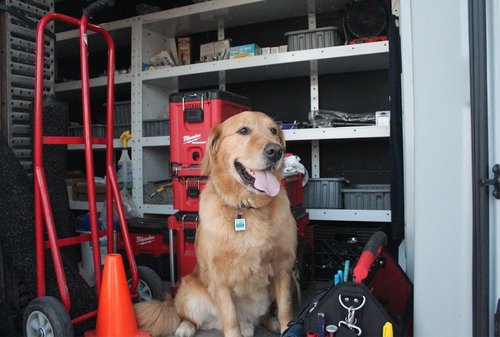 Primo Plumbing & Heating