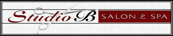 Studio B Salon & Spa Inc. - Logo