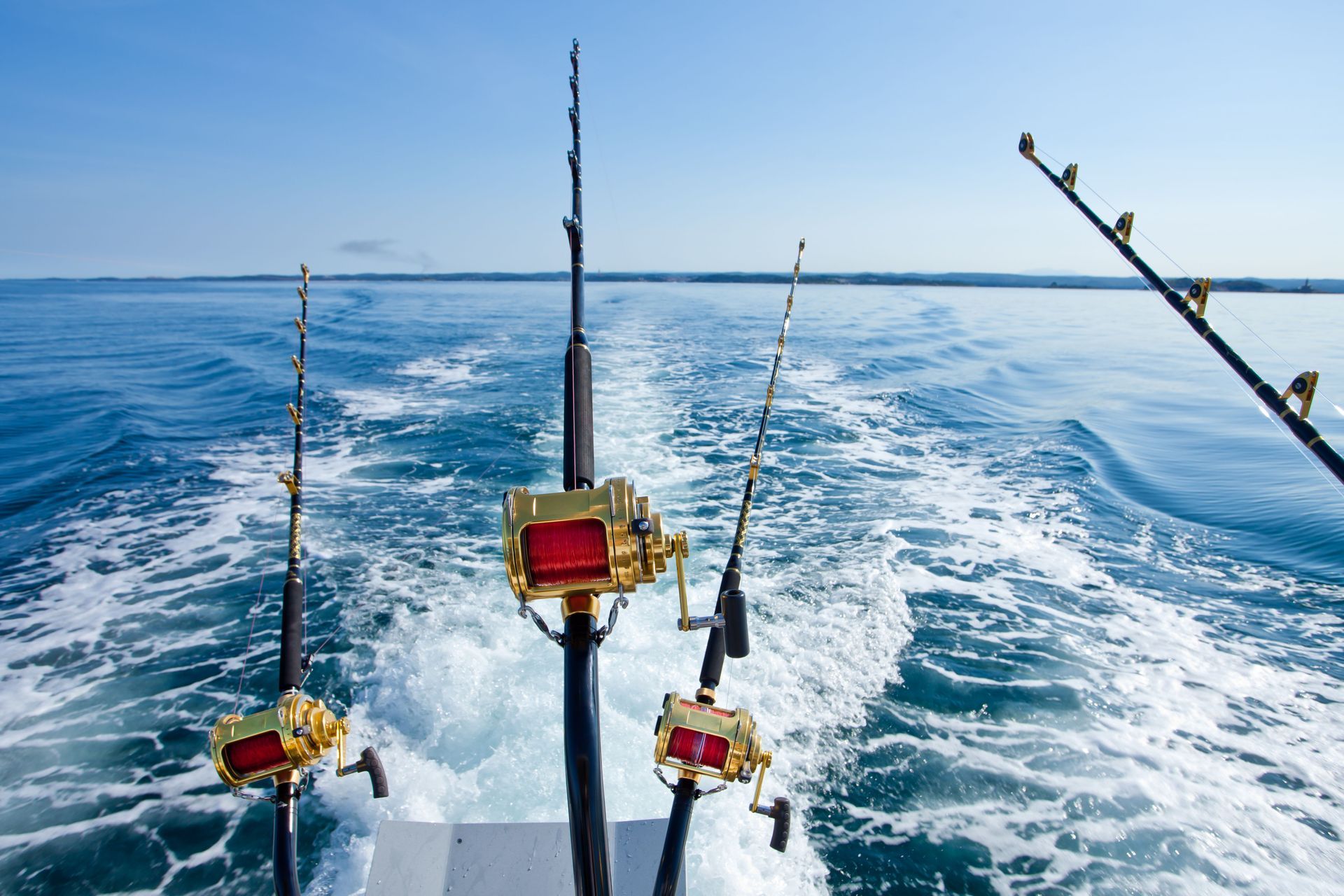 bay fishing charters