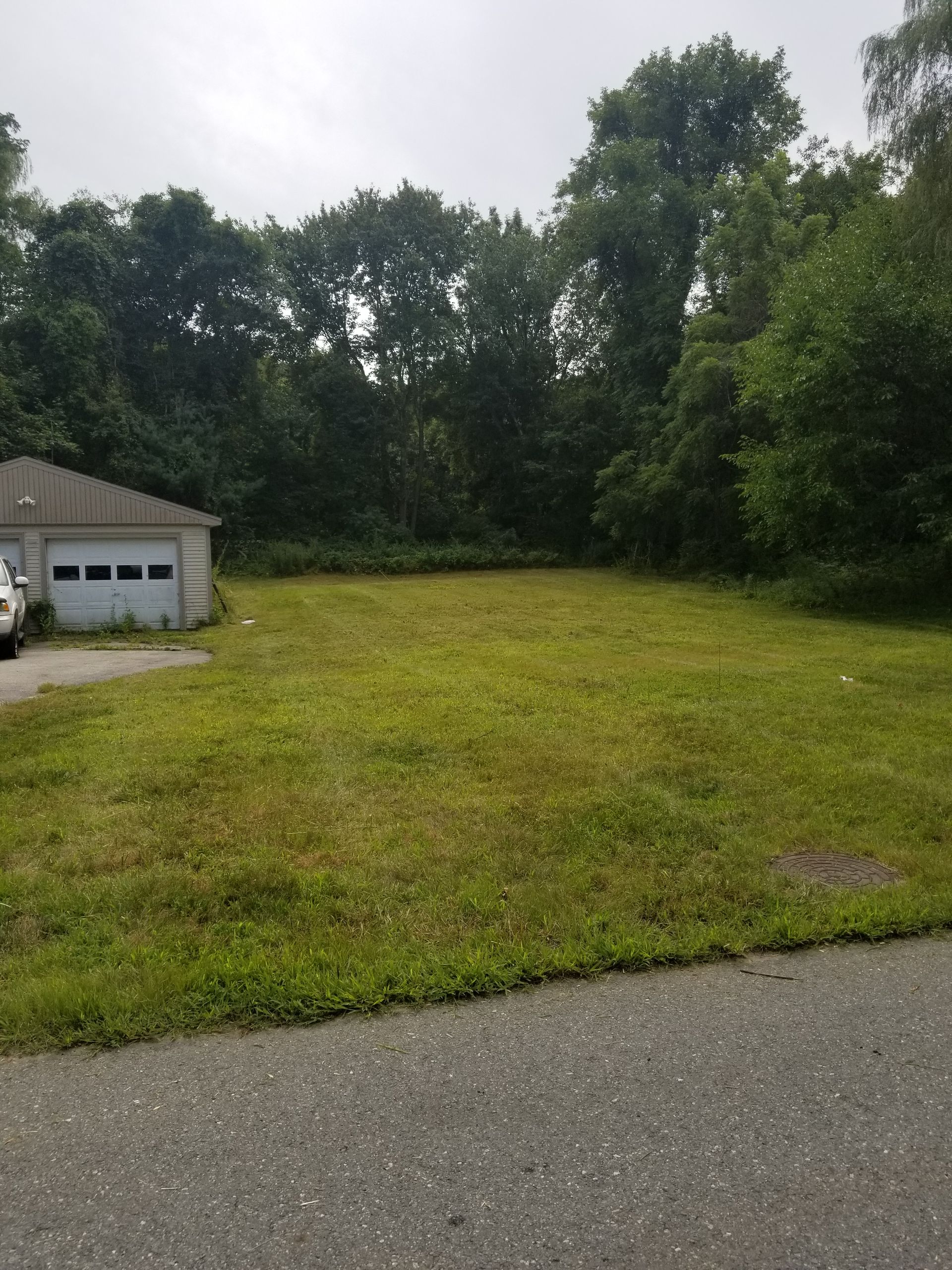 overgrown yard after