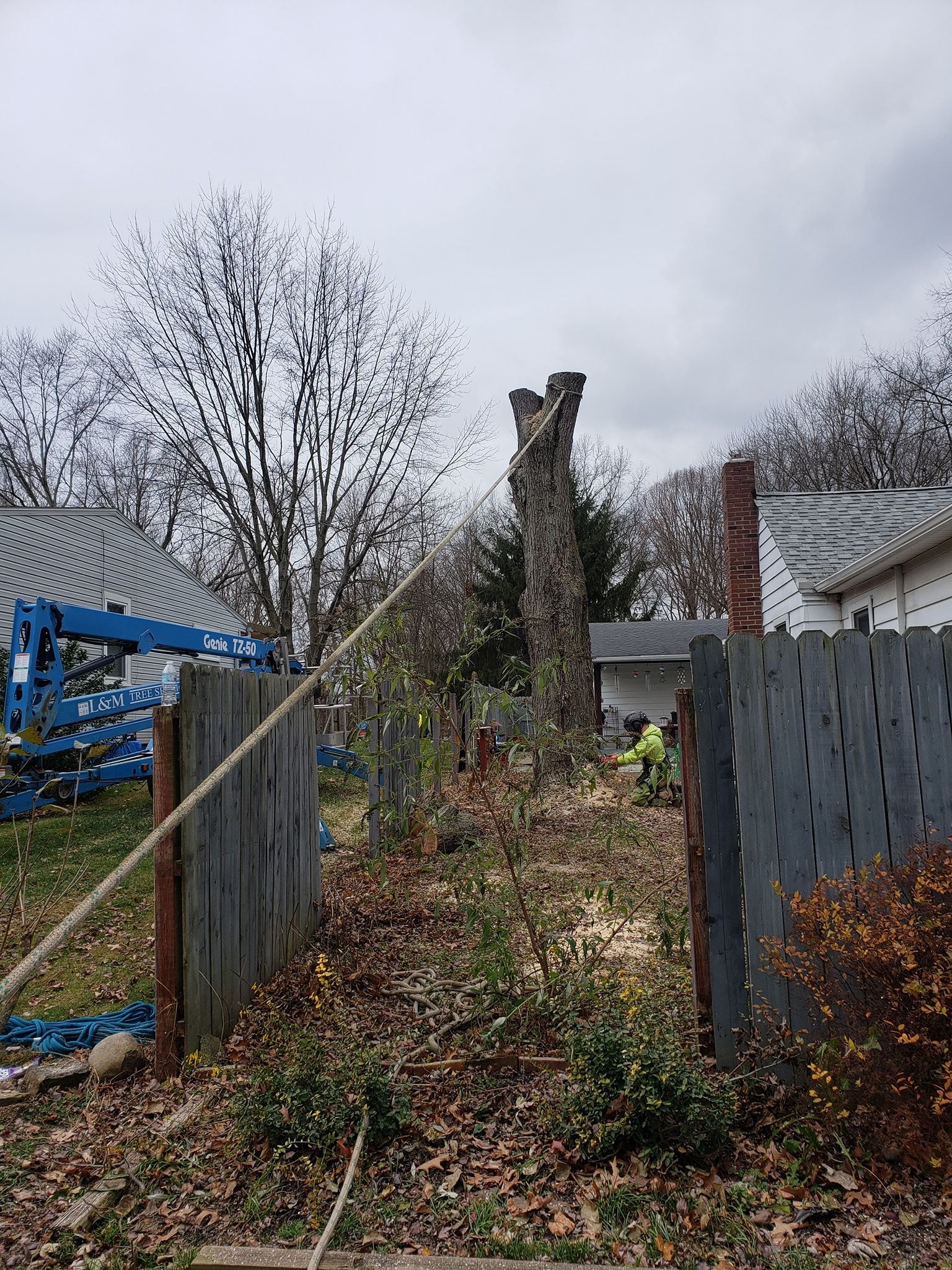 a large tree stump is sitting in the middle of a yard next to a fence