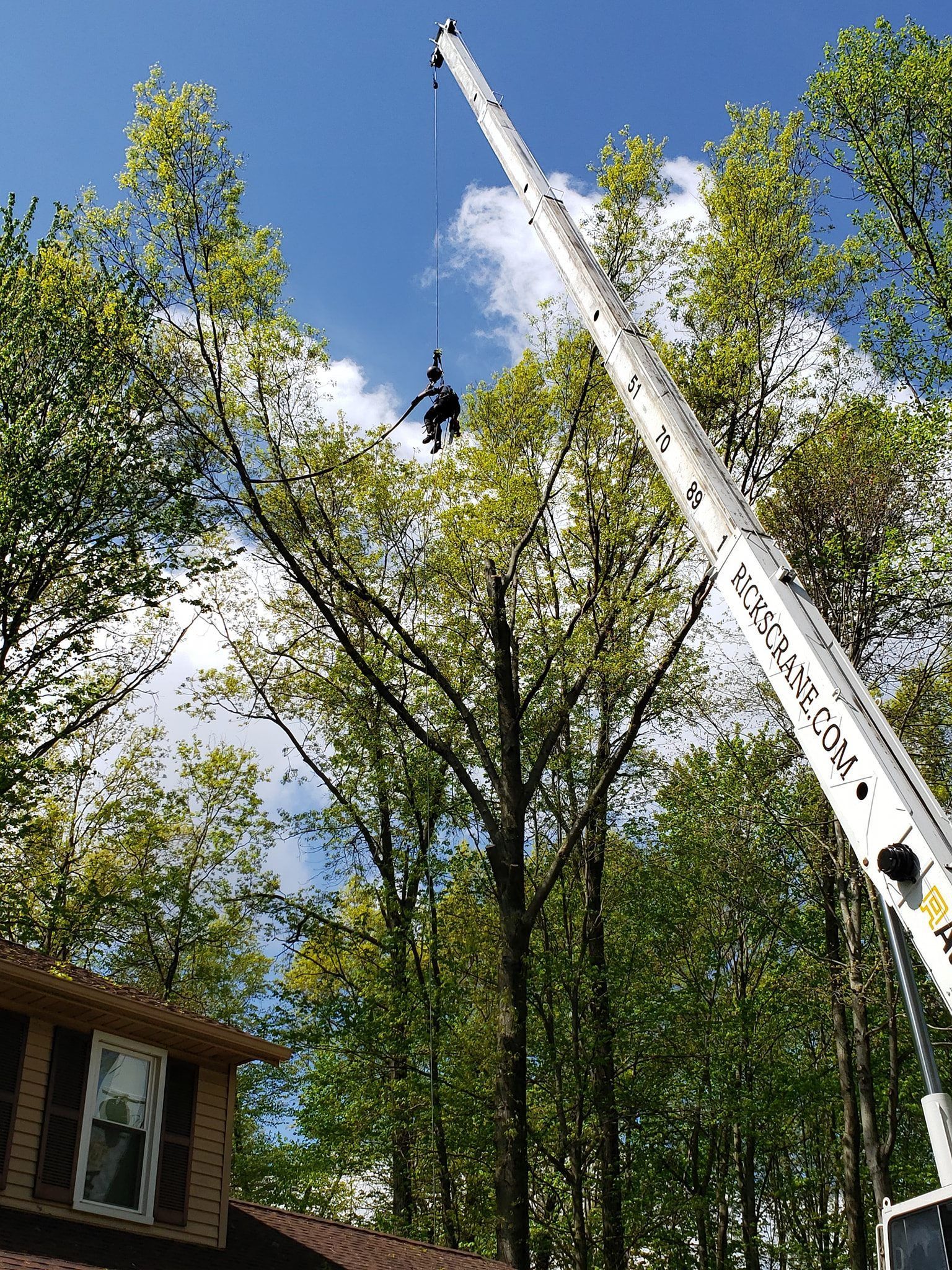 a man is hanging from a crane while cutting a tree