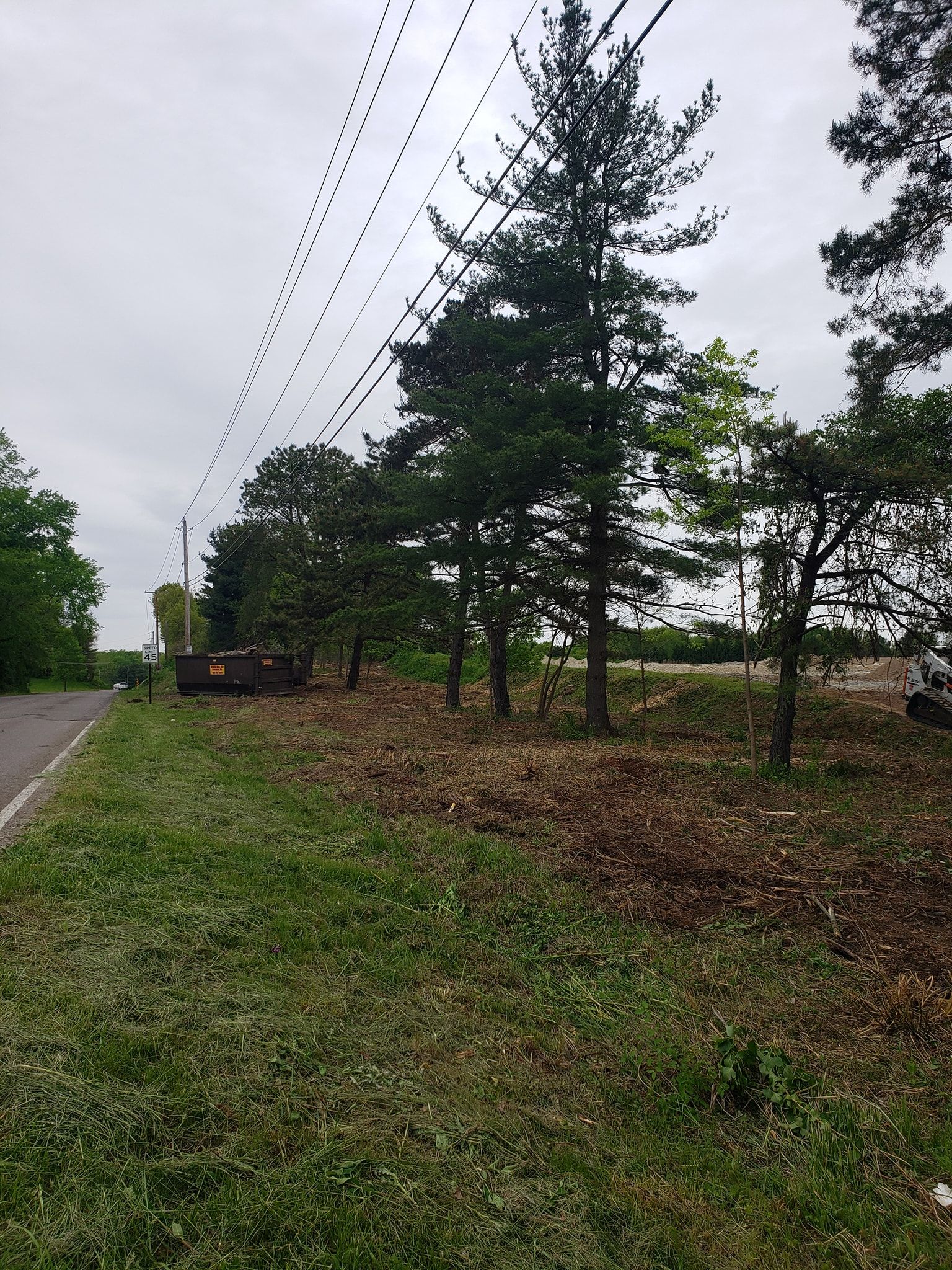 a row of trees along the side of a road