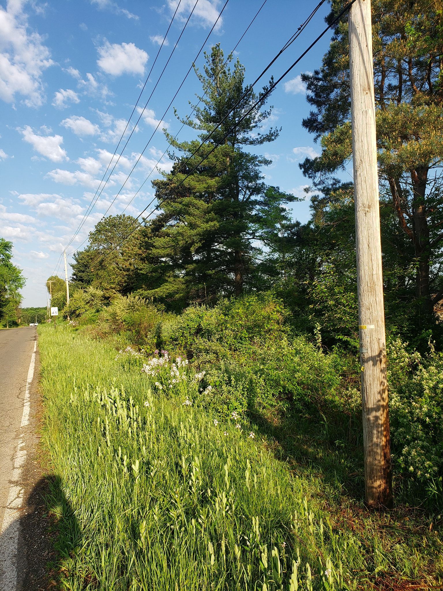 a telephone pole in the middle of a grassy field