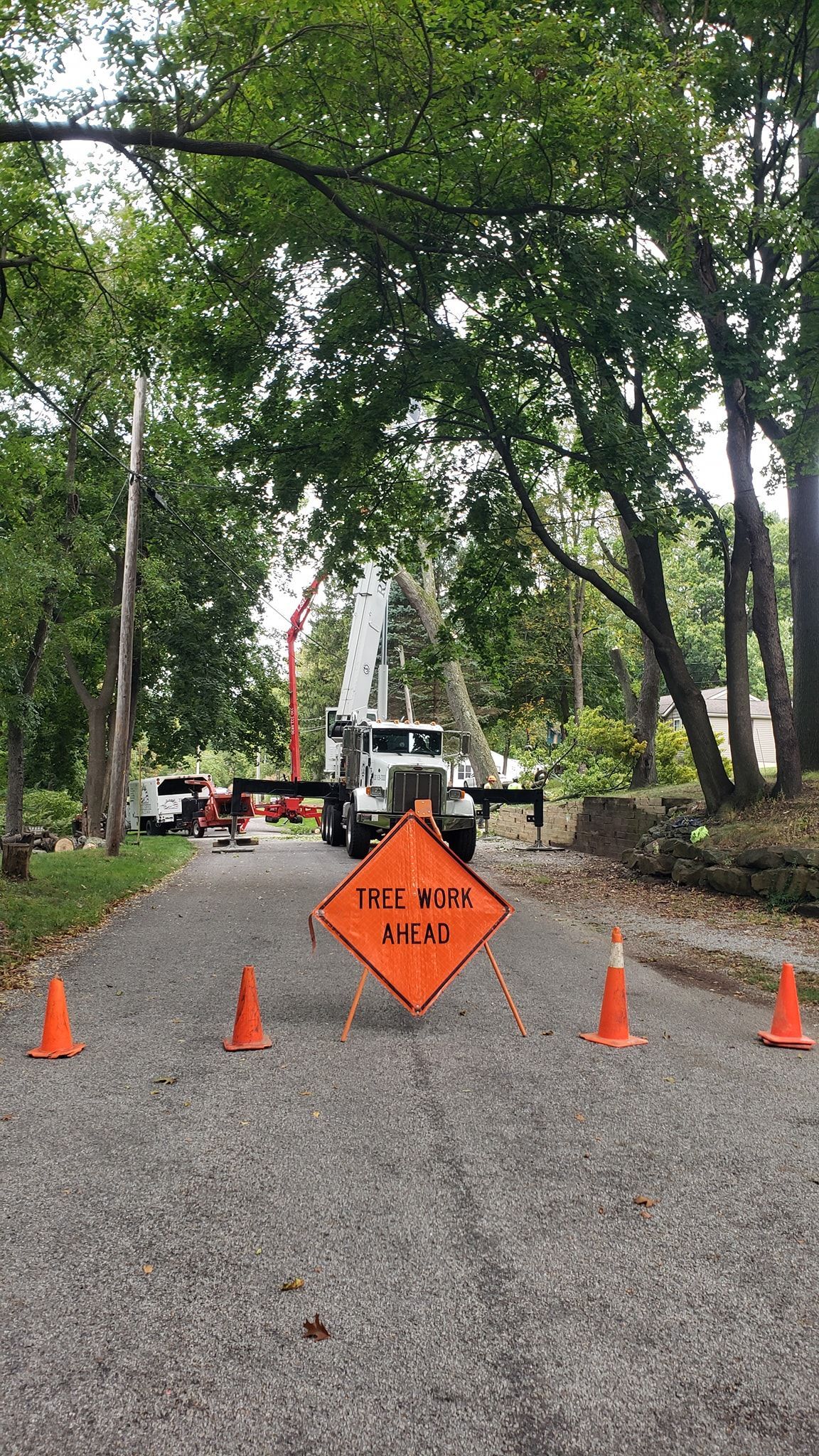a tree cutting truck is parked on the side of the road next to a sign