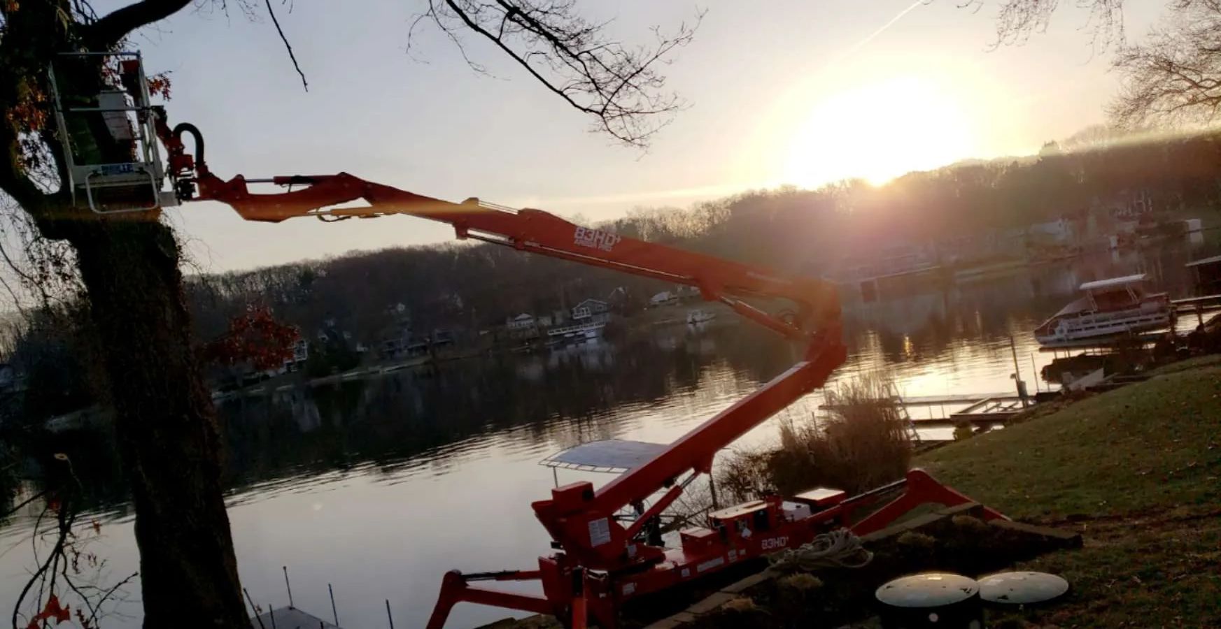 a crane is cutting a tree next to a body of water