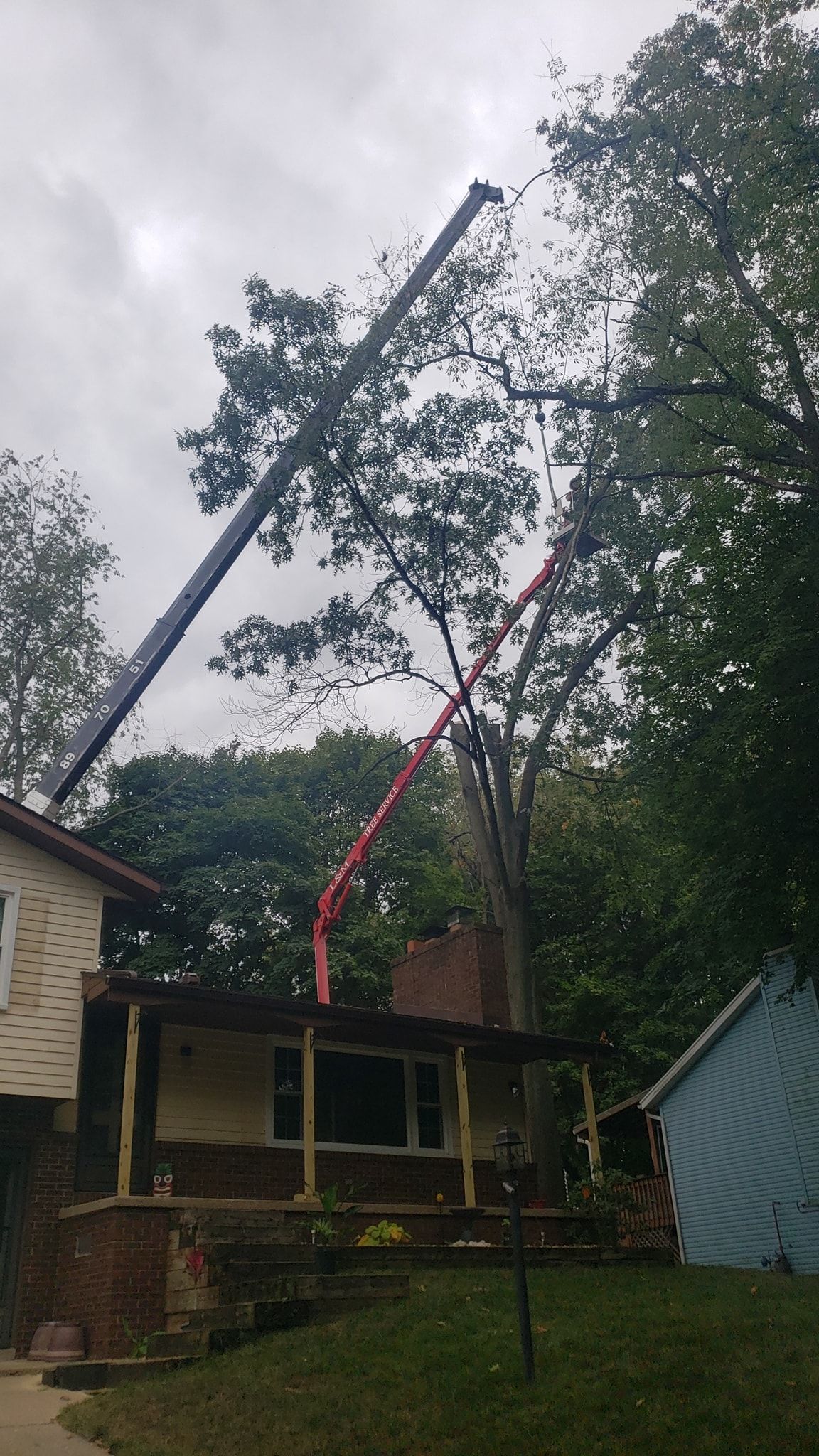 a crane is cutting a tree in front of a house