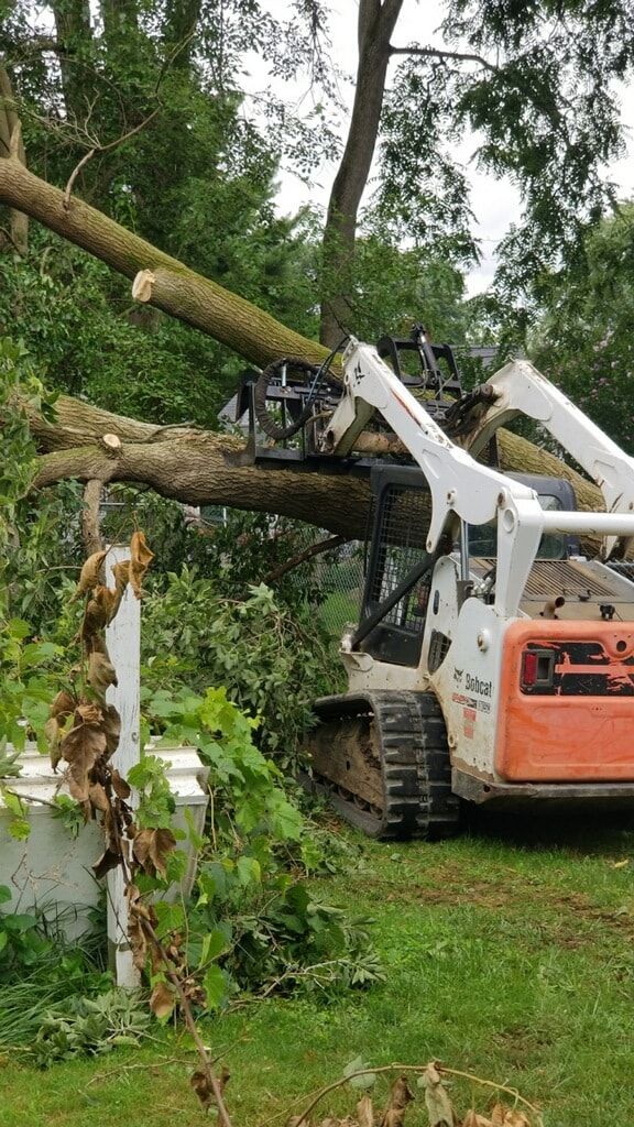 a bobcat is cutting down a tree in a yard
