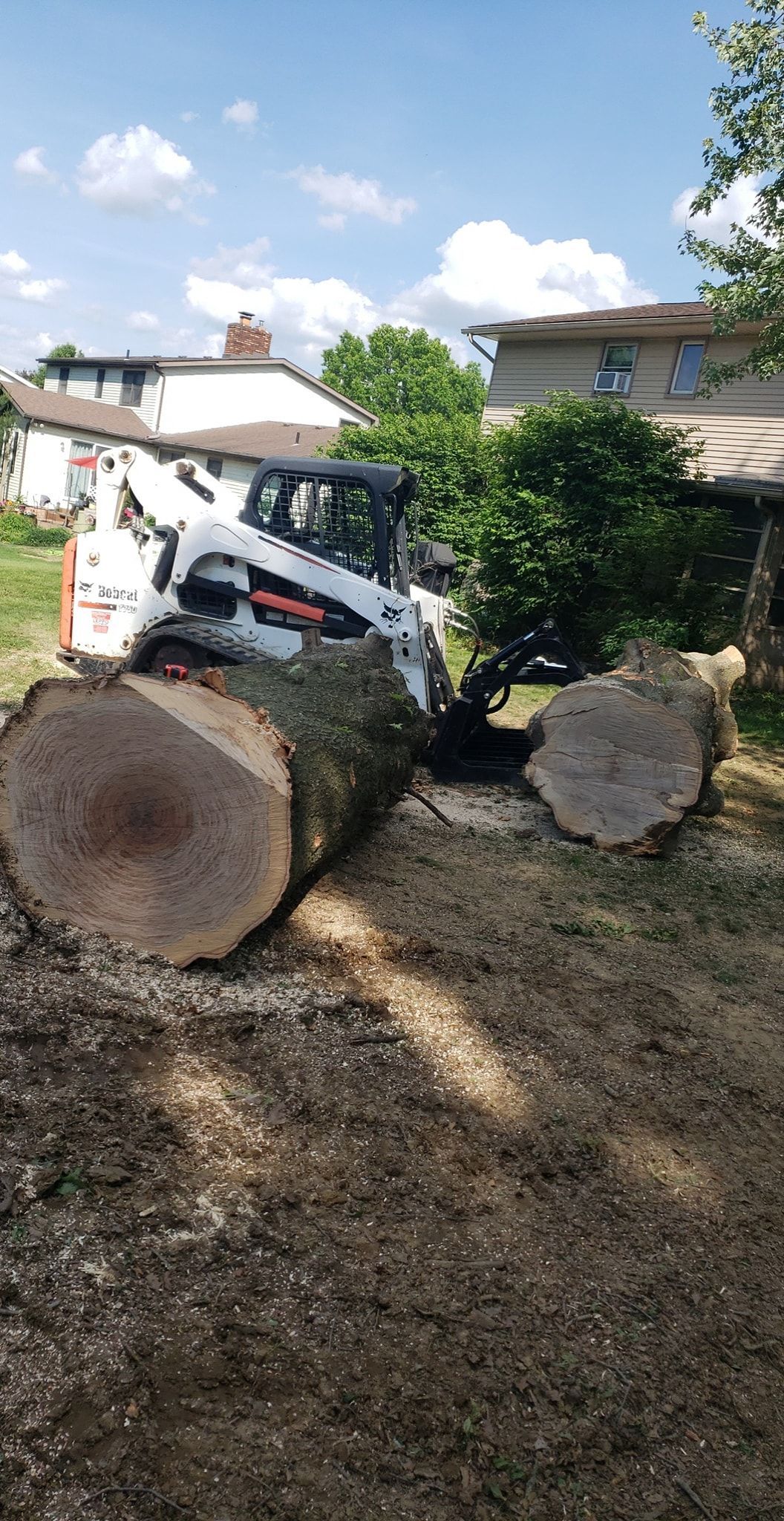 a bobcat is cutting down a tree in a backyard