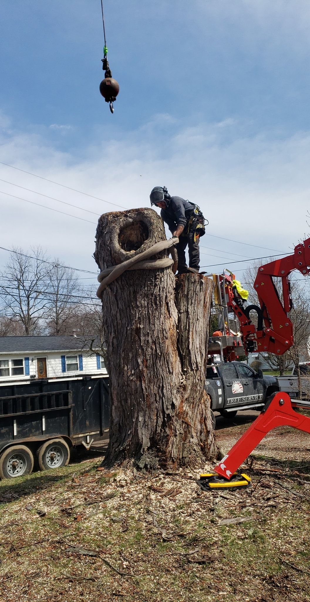 a man is standing on top of a large tree stump