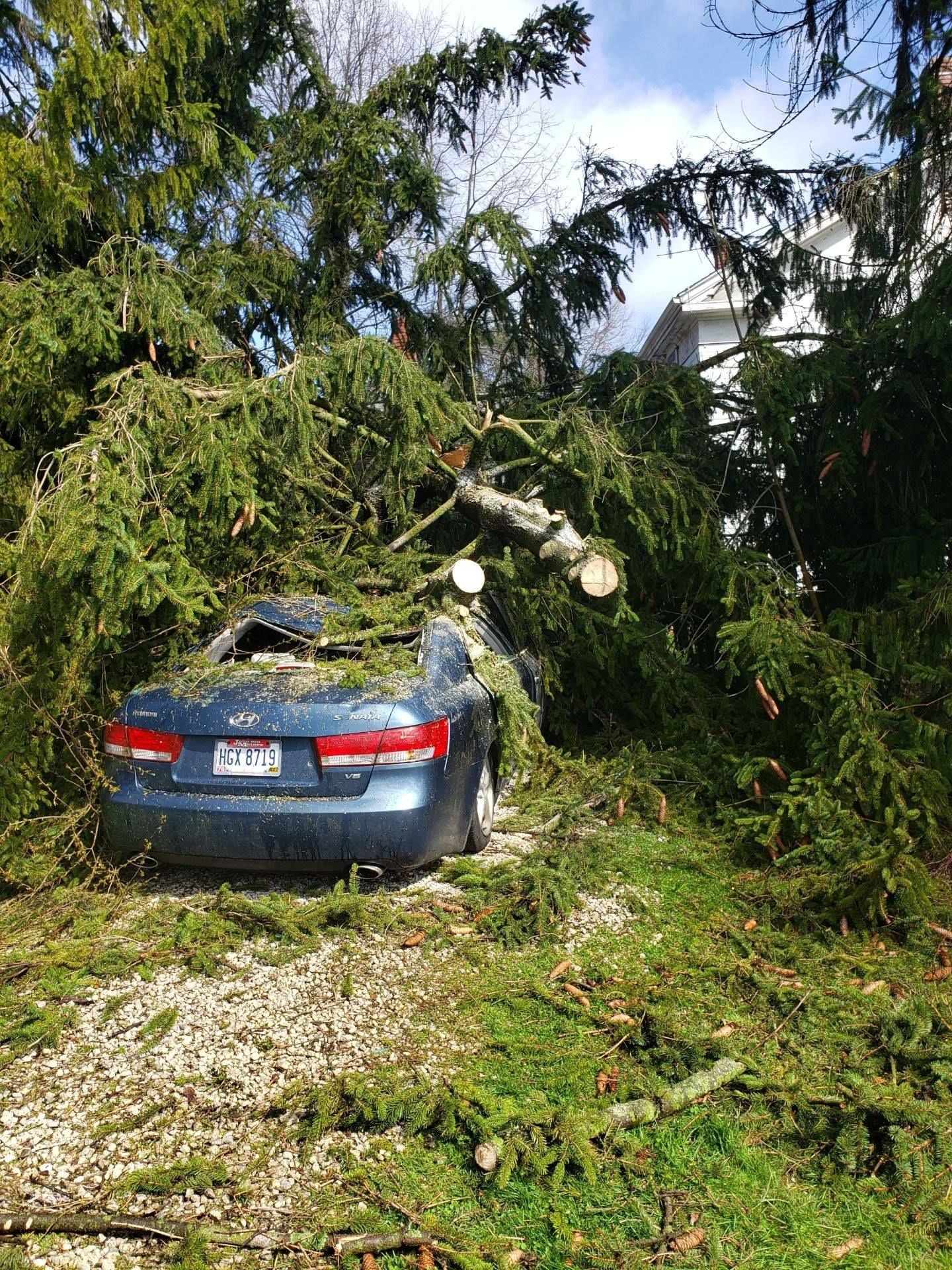 a car is sitting in the grass next to a fallen tree