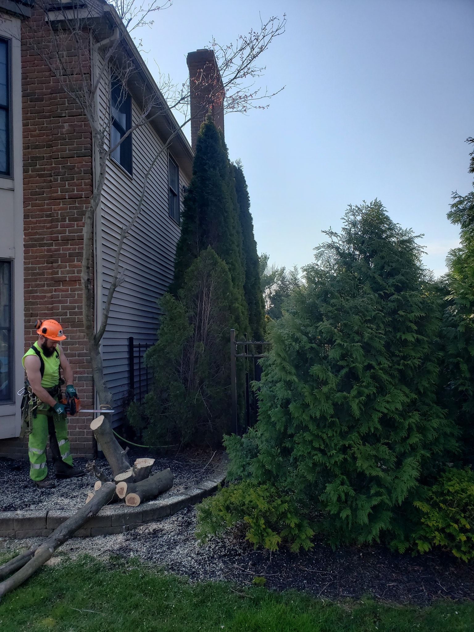 a man is cutting a tree with a chainsaw in front of a house