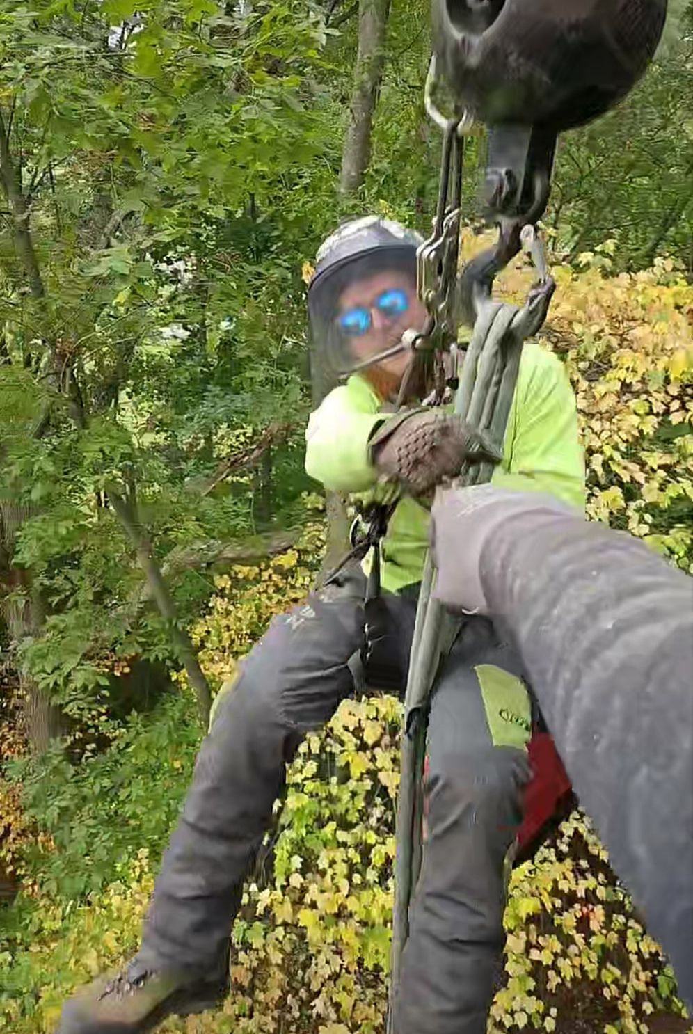 a man is hanging from a crane in the woods