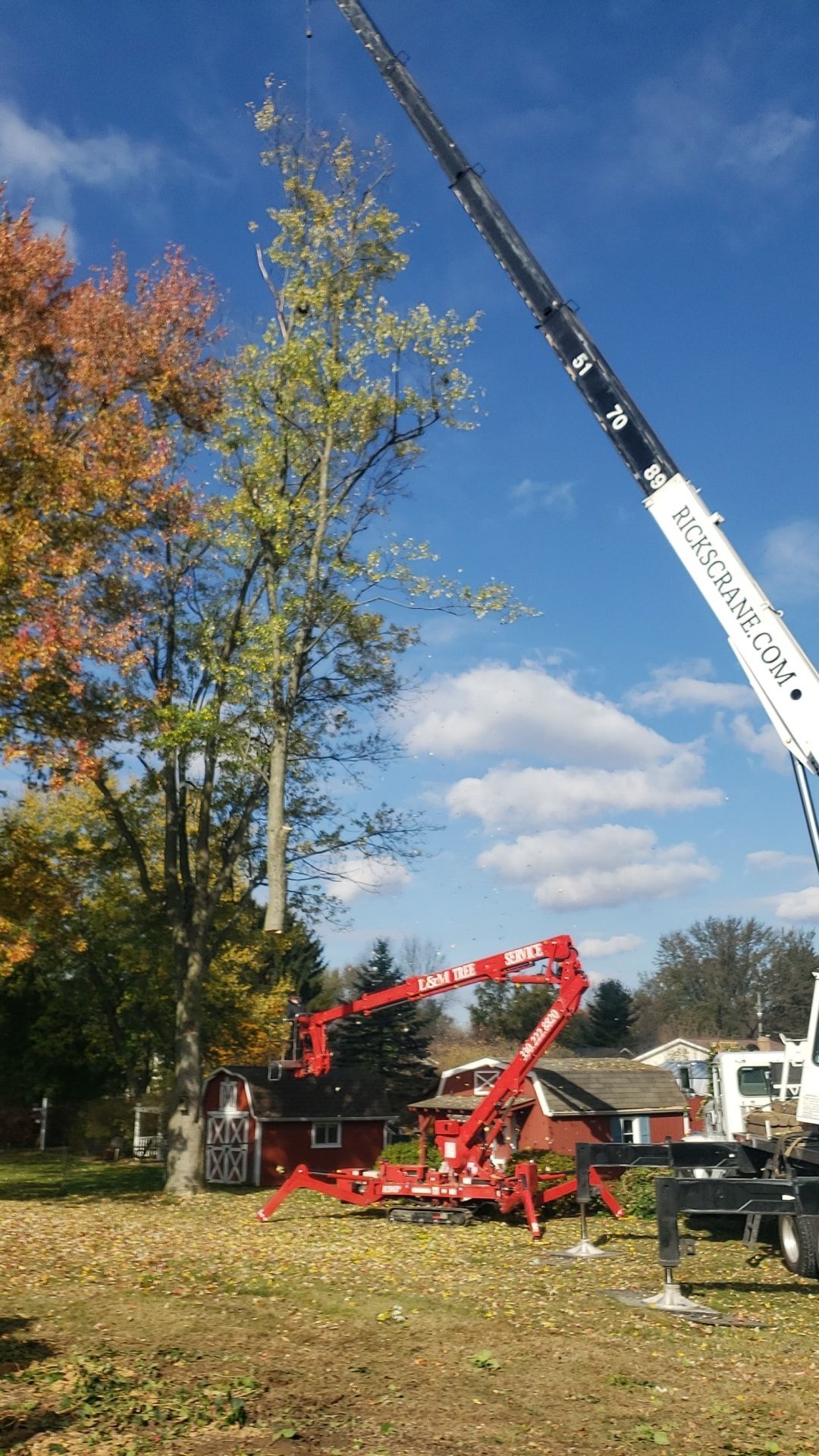 A crane is cutting a tree in a field