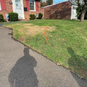Grassy slope beside a sidewalk with an orange marking, in front of brick apartment buildings.