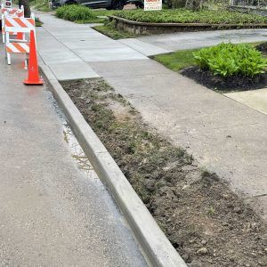 Sidewalk repair area beside a road, with orange traffic cones and a barricade marking the work zone.