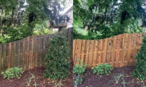 Comparison of a wooden fence before (left) and after (right) cleaning. The fence has plants in front of it and trees in the background.