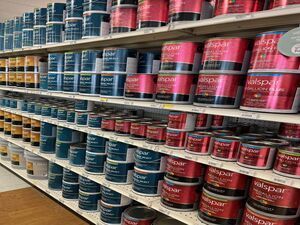 Paint Supplies