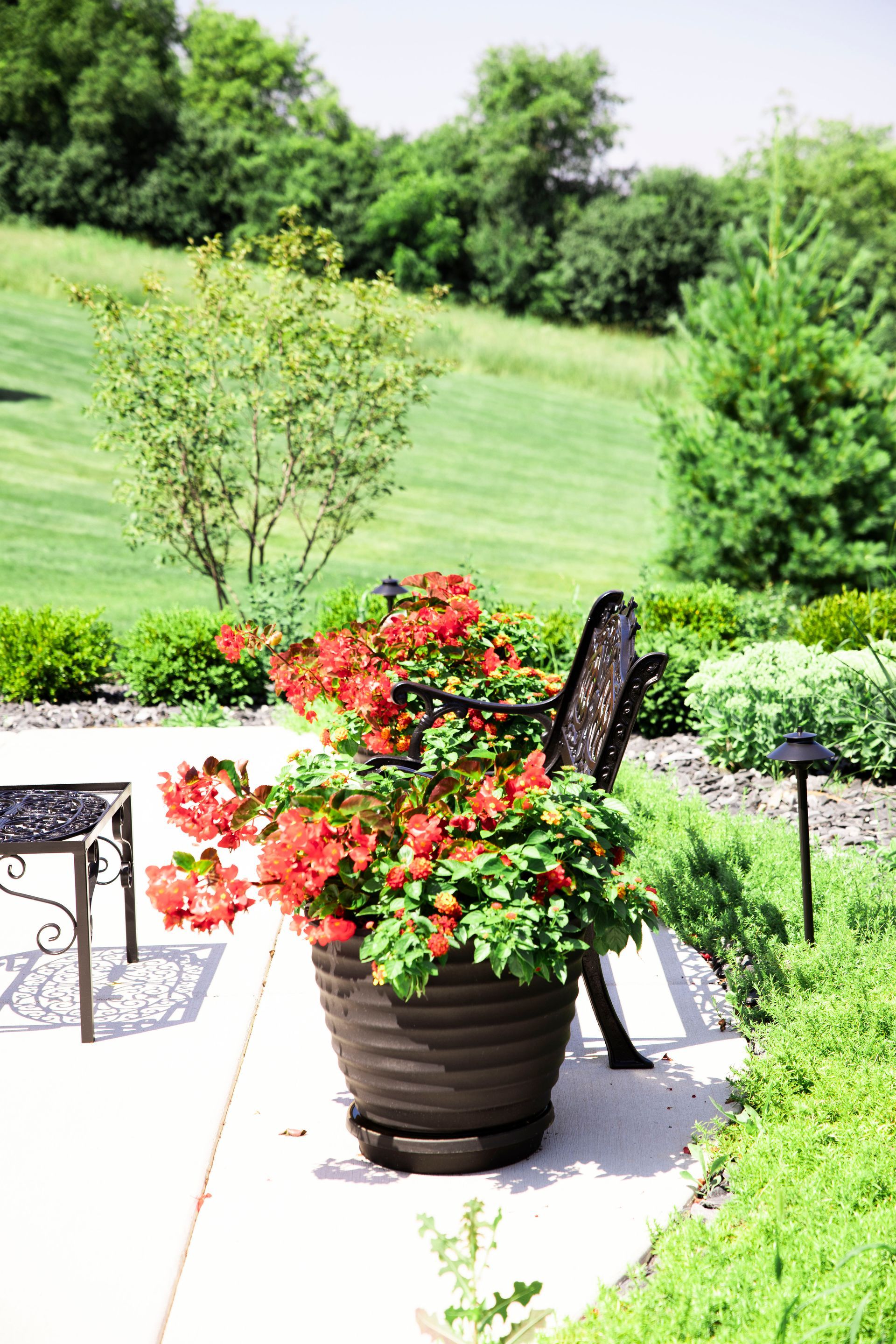 A large, ribbed pot overflowing with orange flowers sits on a patio next to an ornate metal chair, with a lawn in the back.